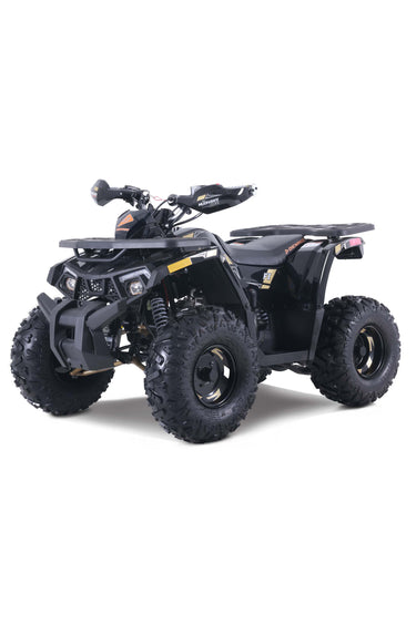 Denago Powersports Black Mudhawk 10FI ATV Hero Angle