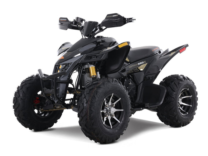 Denago Daytona 250 FI ATV - Black