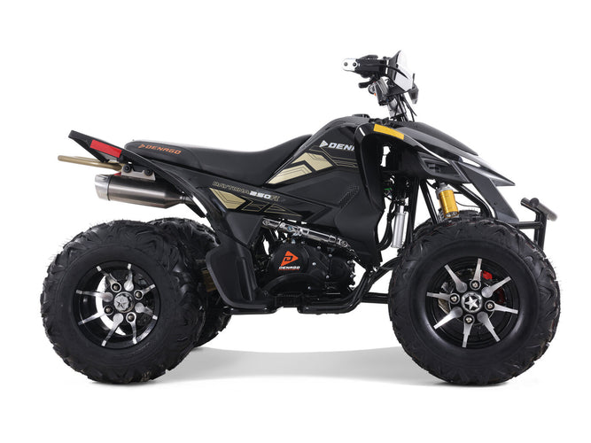 Denago Daytona 250 FI ATV - Black