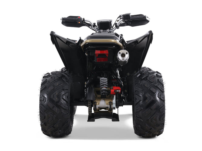 Denago Daytona 250 FI ATV - Black