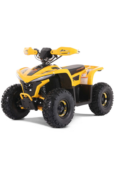 Denago E-Hawk 6 ATV Denago Powersports Denago E-Hawk 6 ATV Denago Powersports