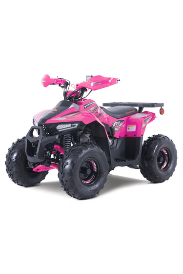 Mudhawk 6 ATV