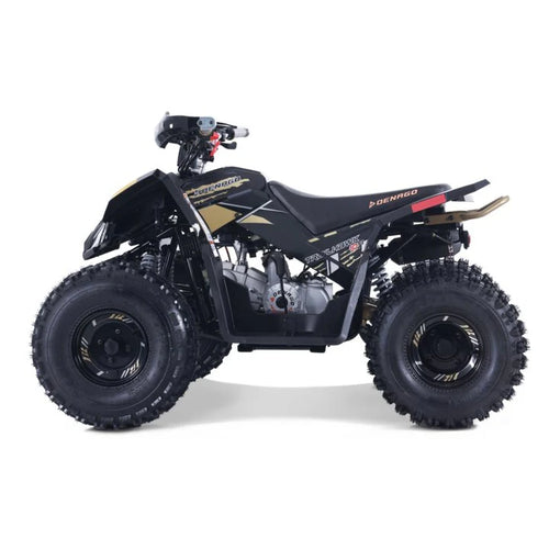 Trailhawk 10FI ATV - Black