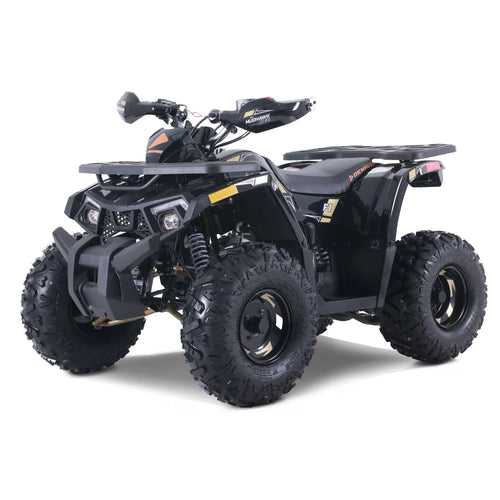 Mudhawk 10FI ATV - Black