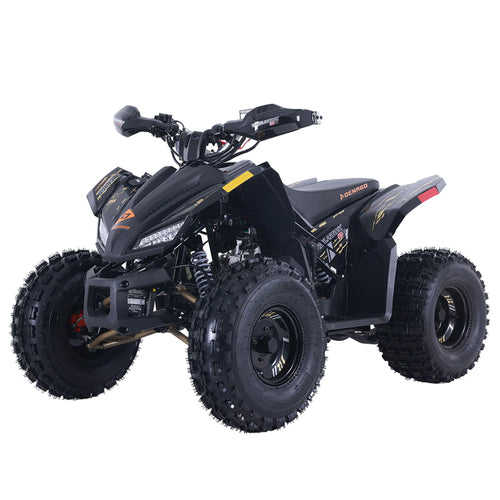 Trailhawk 10FI ATV - Black