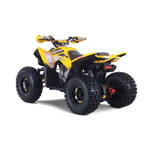 Trailhawk 10FI ATV - Yellow